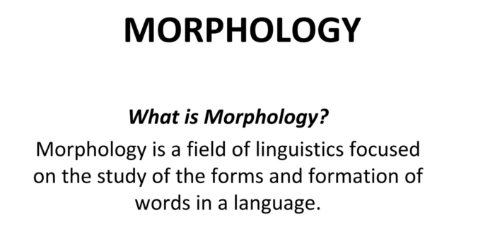 Definition des Begriffs "Morphology"